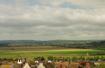 a0199262_10033458.png