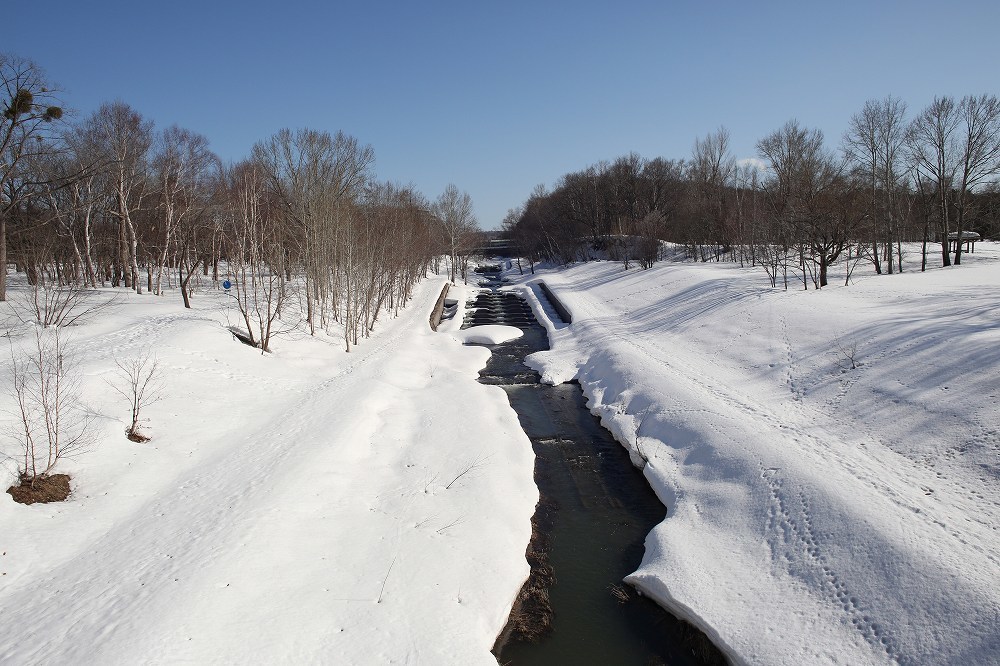 f0347565_19131162.jpg