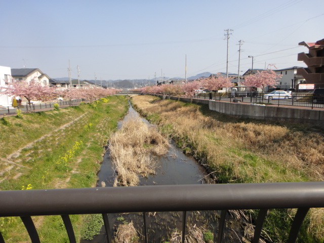 f0185466_08254575.jpg