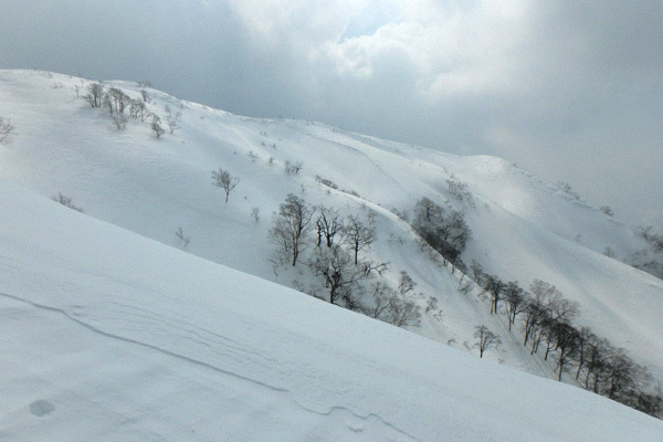 c0087773_20100241.jpg