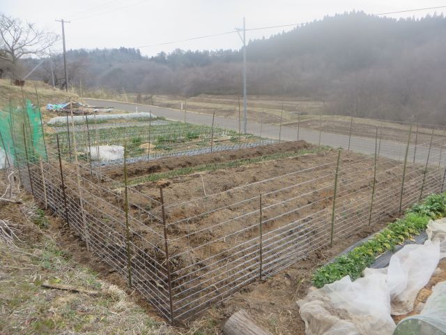 e0148077_2131491.jpg