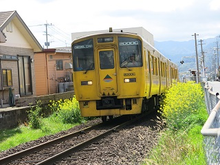 e0130185_1225050.jpg