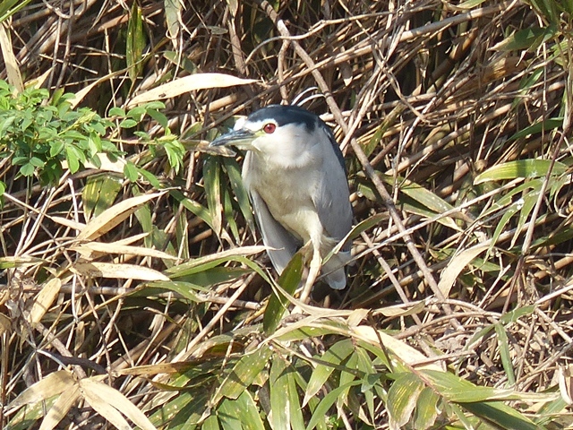 f0357487_22102112.jpg