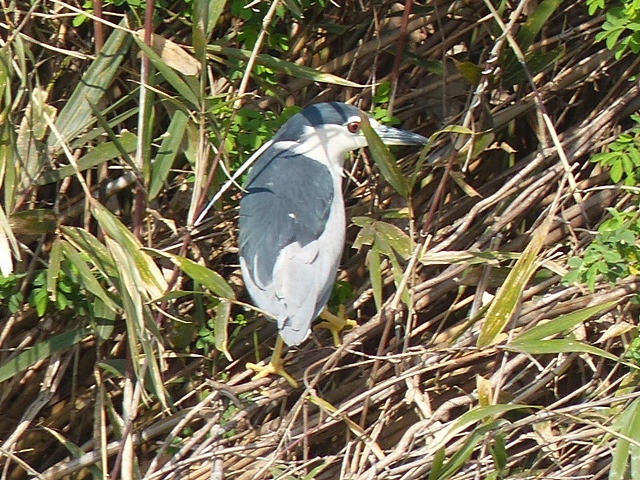 f0357487_22110073.jpg
