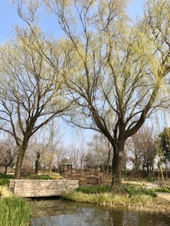 a0263388_13544259.jpg