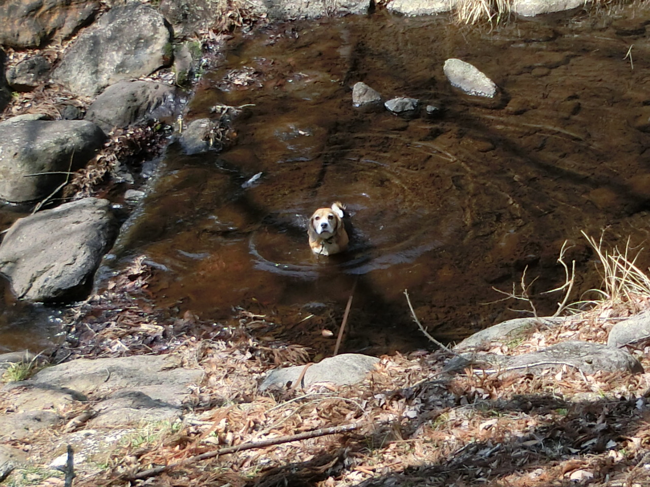 a0319693_723477.jpg