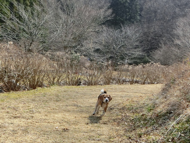 a0319693_743226.jpg