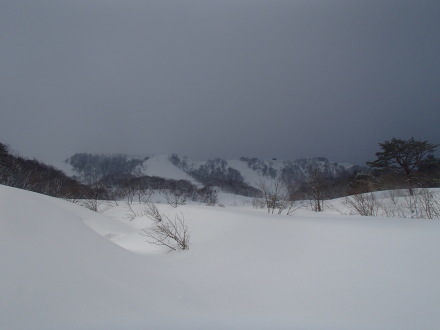e0211293_07371459.jpg