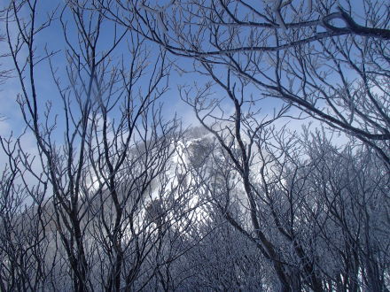 e0211293_07375201.jpg
