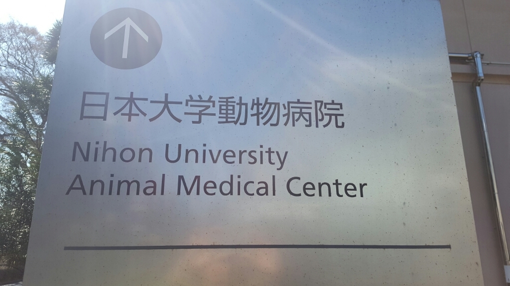 a0134306_21530467.jpg