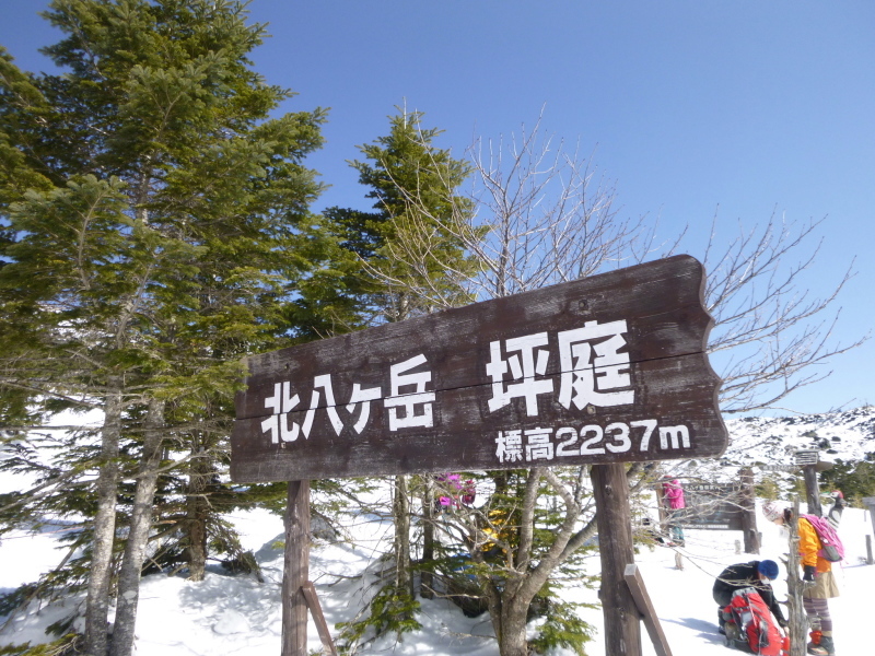 d0170615_17492121.jpg