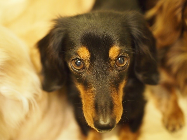 c0117831_17280380.jpg