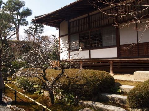 a0157935_21563939.jpg