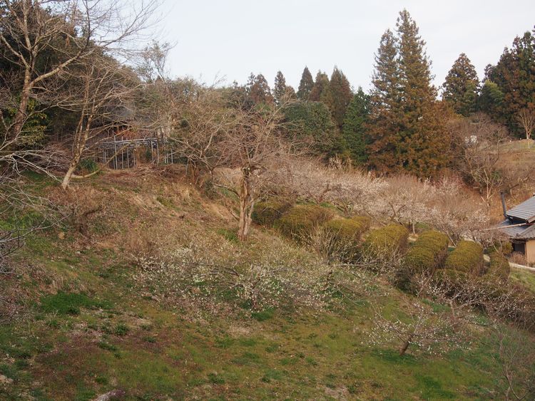 a0183741_19232238.jpg