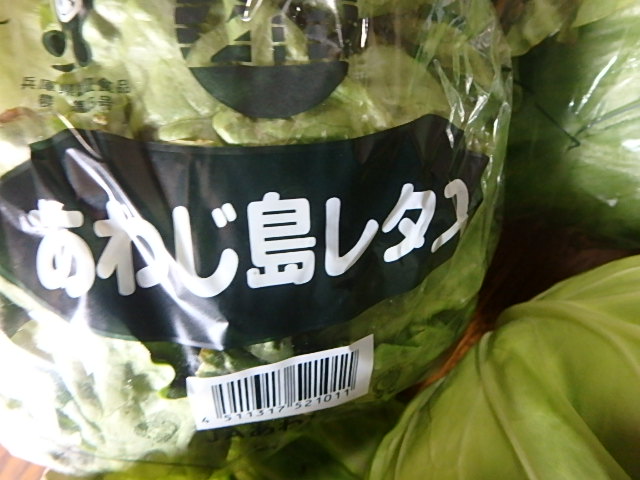 f0334143_8511071.jpg