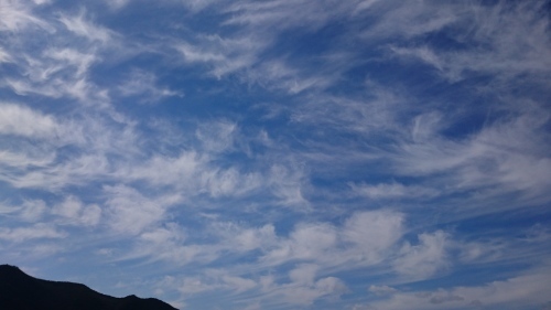 f0326946_00521756.jpg