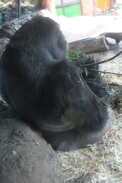 e0333647_10281487.jpg