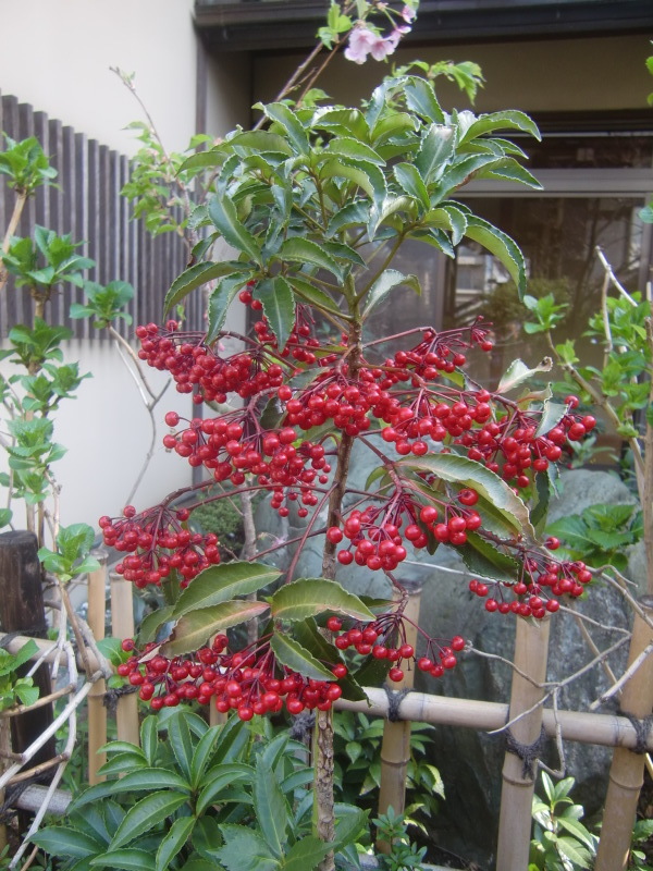 f0329849_14084564.jpg