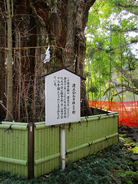 c0327752_15175196.jpg