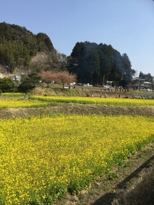 d0299559_13421389.jpg