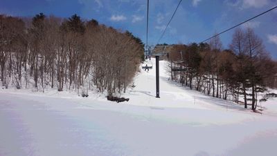 b0063468_20153776.jpg
