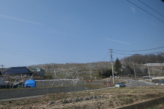 d0193569_840189.jpg