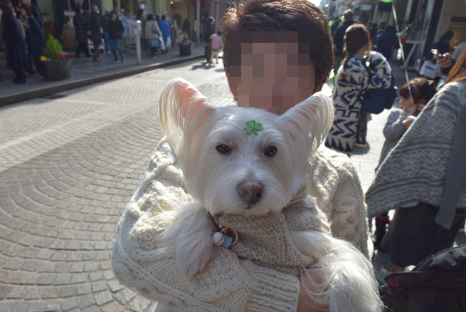 b0242873_00062356.png