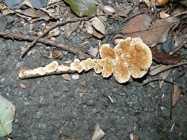 d0019074_883330.jpg