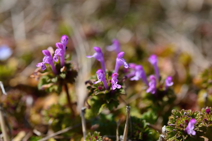 d0341880_20195819.jpg