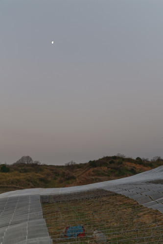 e0366896_22561586.jpg