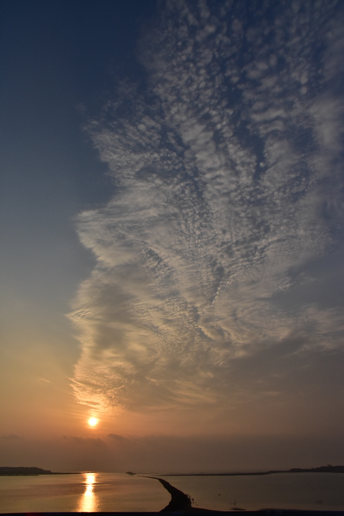 c0049299_23382778.jpg