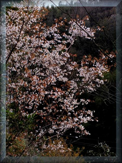 e0111299_10380633.png