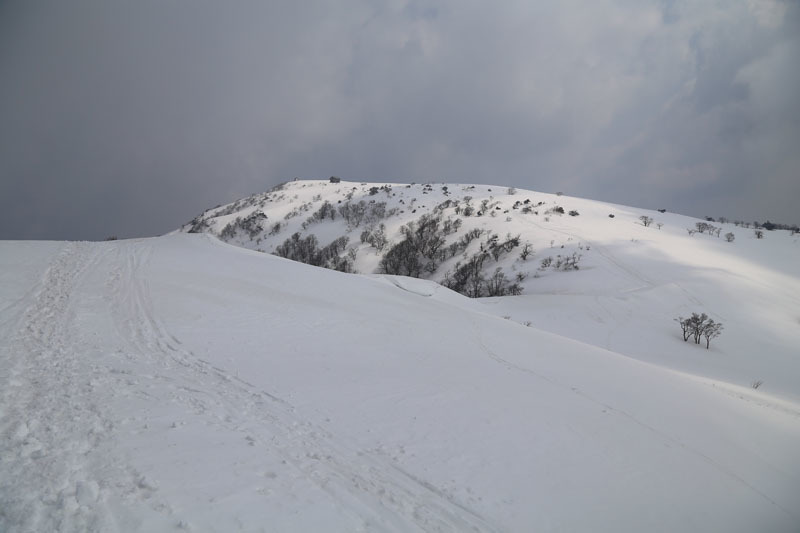 e0077010_22431317.jpg