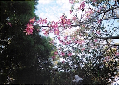 a0019212_22133618.jpeg