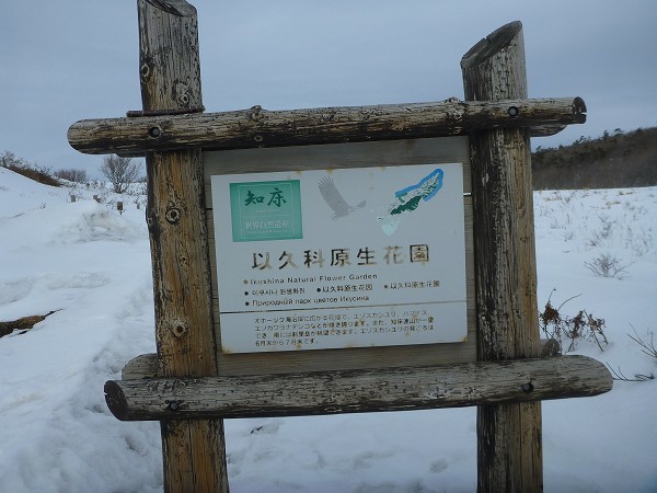 c0048117_10133663.jpg