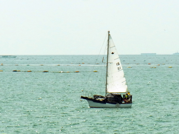 e0083517_10384851.jpg