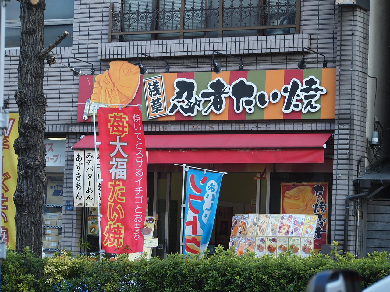 a0214329_21132624.jpg