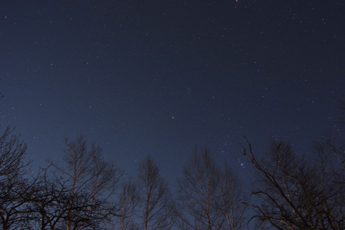 b0247838_2232690.jpg