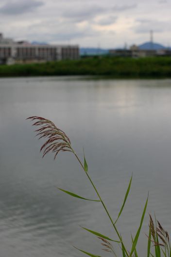 c0032138_20192505.jpg