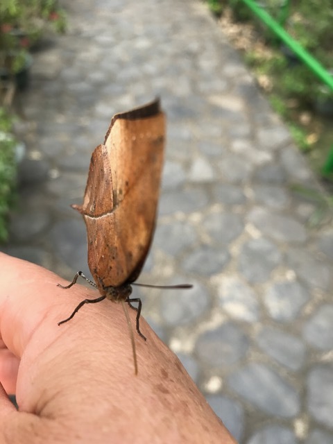 d0285540_13225369.jpeg