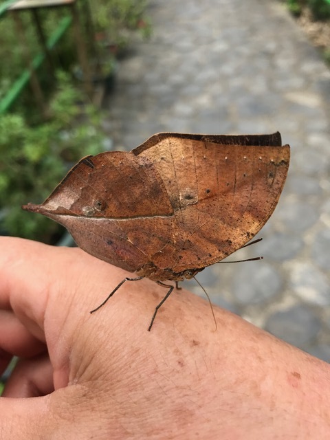 d0285540_13225381.jpeg