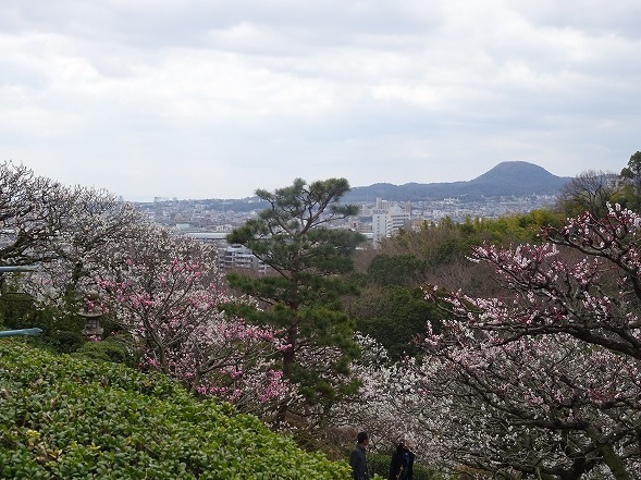 b0299042_08494761.jpg