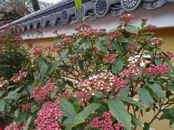 b0299042_08520199.jpg
