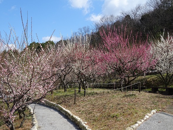 b0299042_09032660.jpg