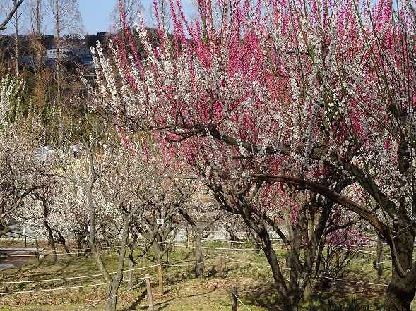 b0299042_09034977.jpg