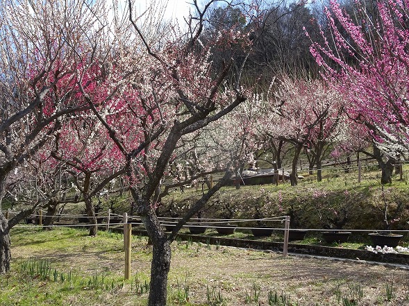 b0299042_09041197.jpg