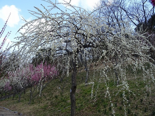 b0299042_09052220.jpg