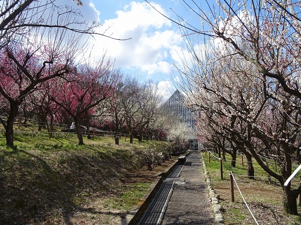 b0299042_09055216.jpg