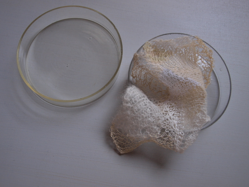 c0243045_23424400.jpg