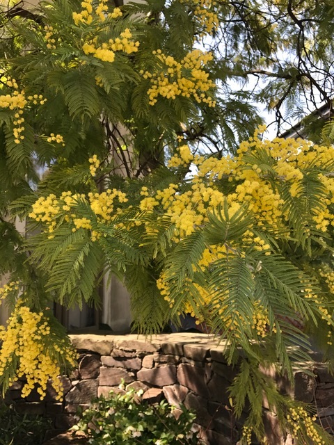 c0343447_08234774.jpg